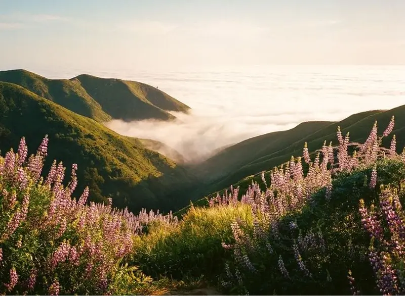 How To Manage Stress at Work - Practical Ways To Relieve Stress and Stay in Control